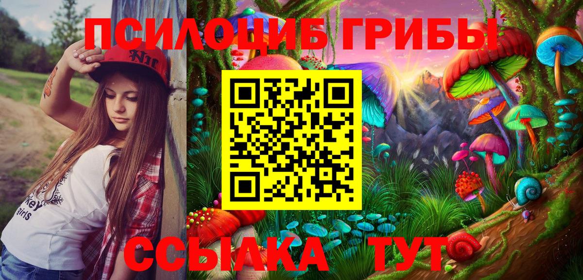 Псилоцибиновые грибы GOLDEN TEACHER  Вход с VPN  Галлюциногенные грибы Psilocybe  Комсомольск-на-Амуре 